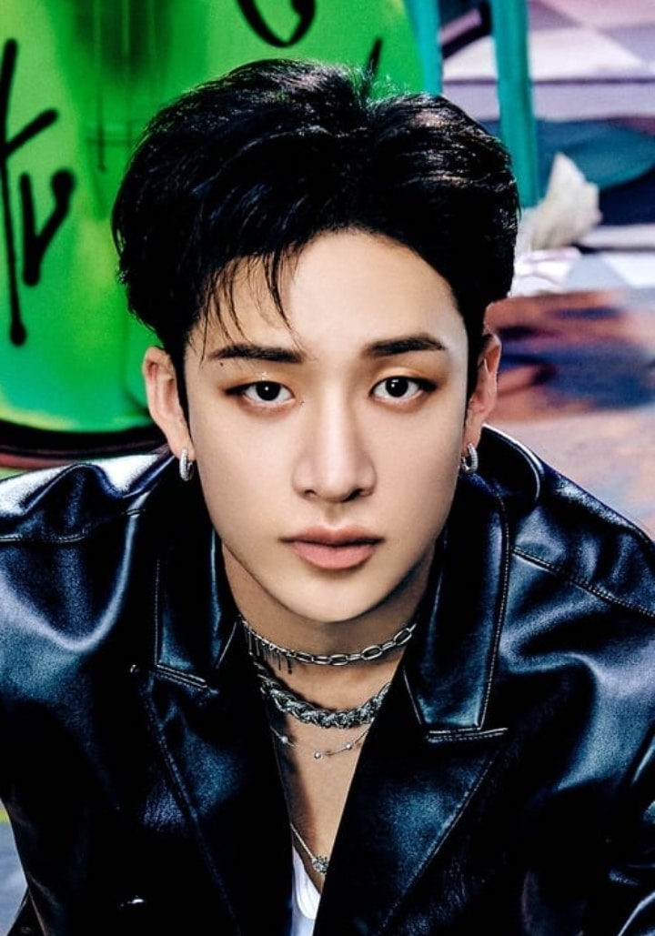 Stray Kids Bang Chan Net Worth 2026