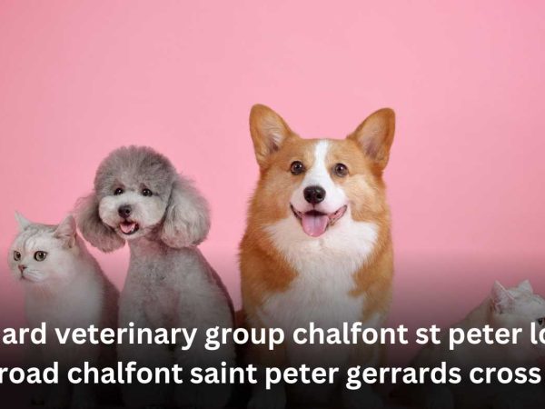 goddard veterinary group chalfont st peter lower road chalfont saint peter gerrards cross
